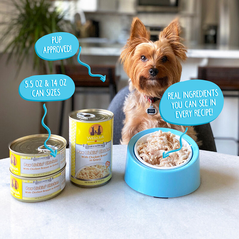 Weruva, Can, Adult - Steak Frites - Shreds - Wet Dog Food image number null